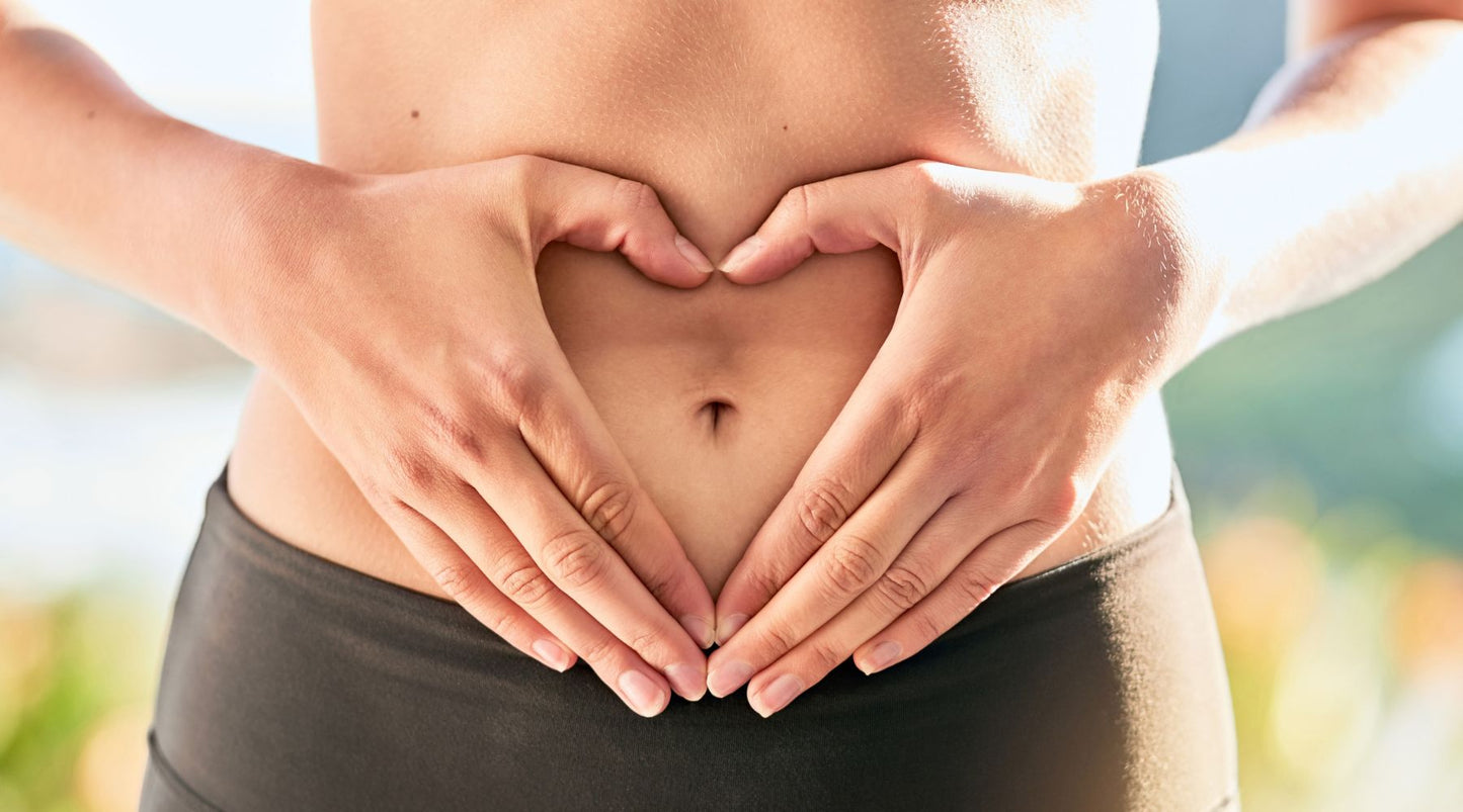 Digestive Aging: Warum unser biologisches Alter im Darm entschieden wird